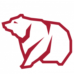 Bear Icon Bear Icon