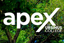 apex with photo