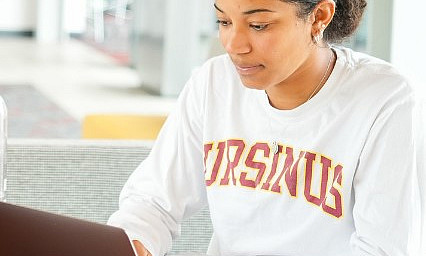 virtual visit student with laptop candid