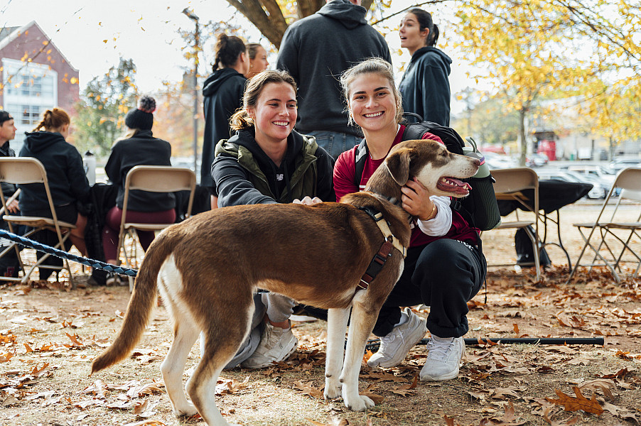 Alumni returned with dogs in tow for the 2024 Homecoming festivities! Homecoming is a great way to experience Ursinus tradition and spiri...