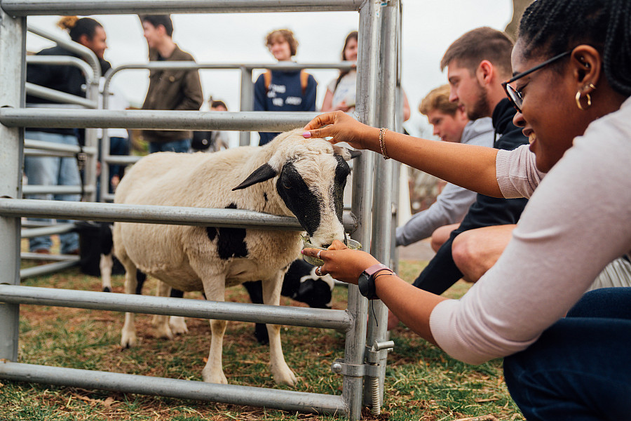 First day of spring surprise pop-up event sponsored by Ursinus Dining brought a petting zoo, ice cream truck, plenty of spring-themed des...