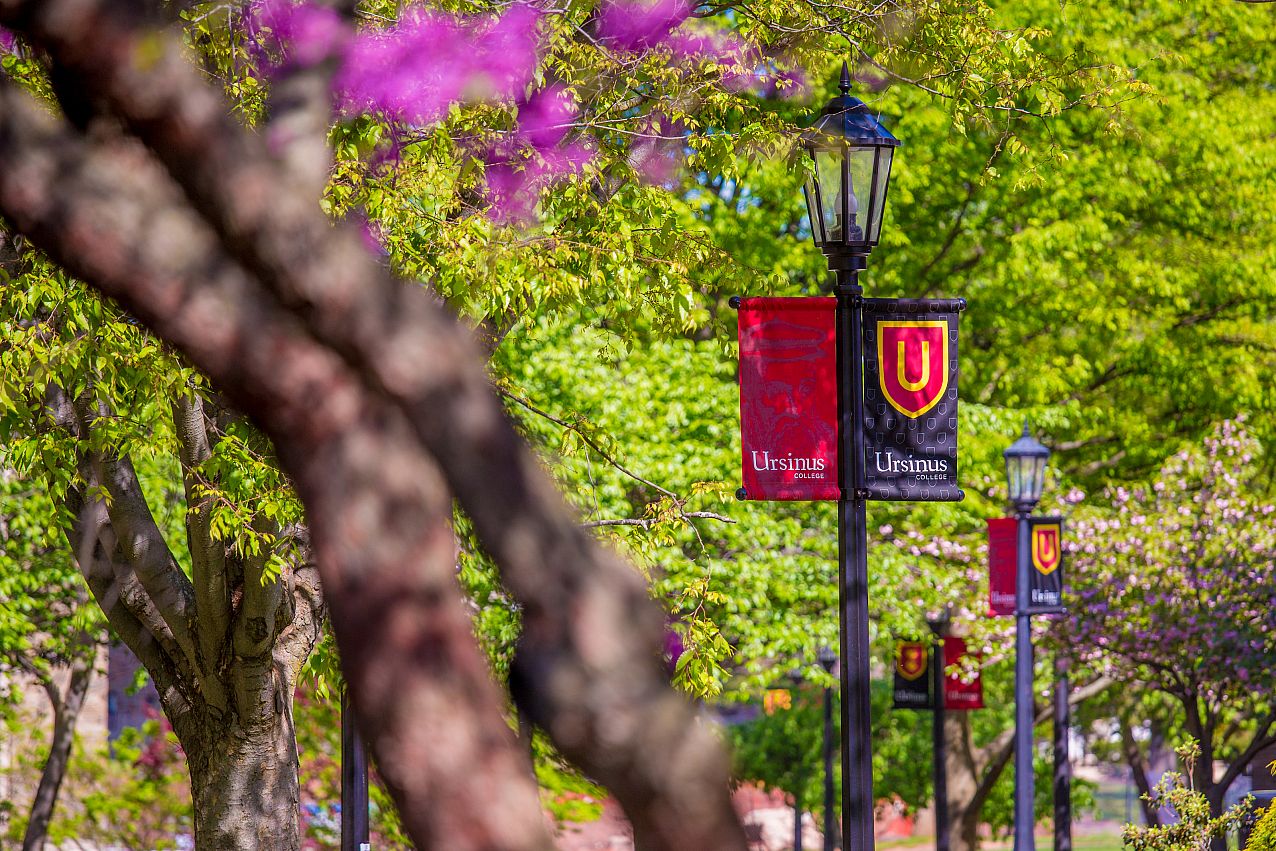 Campus Walk with Banners