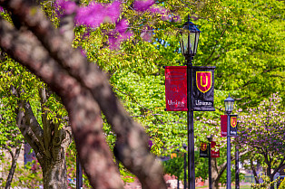 Campus Walk with Banners