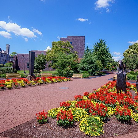 Flowers in berman Plaza