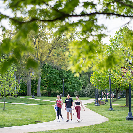students walking greenery