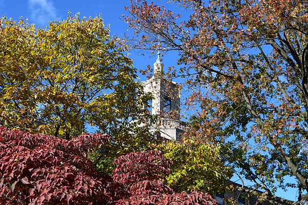 Fall on campus near Pfahler Hall.
