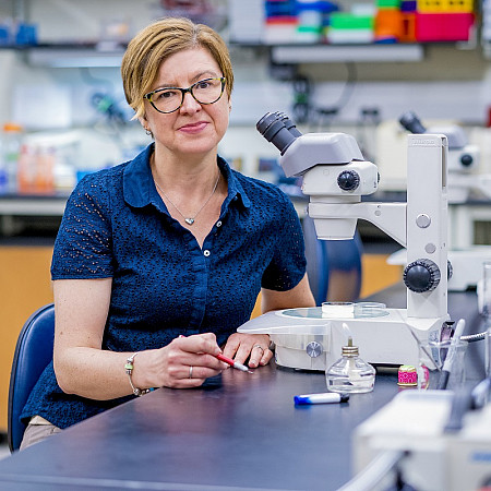 Through an NIH grant, biology professor Rebecca Lyczak and her students are researching PAM-1.