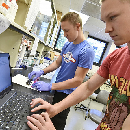Chris and Keven Hoogheem working in lab