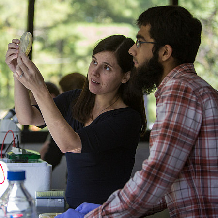 Students in lab