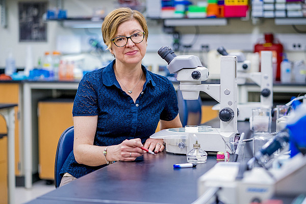 Through an NIH grant, biology professor Rebecca Lyczak and her students are researching PAM-1.