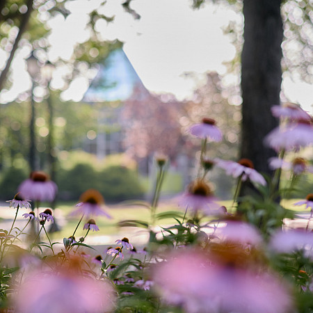 Campus Beauty Shot Spring Spring on campus.