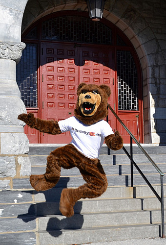 Being a proud Ursinus Bear for life