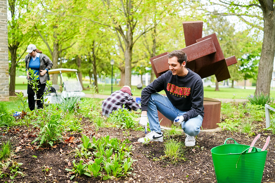 A Media and Communications class spend some time volunteering in a native plant garden on campus