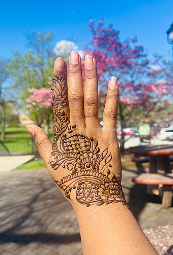 Desi Diaspora