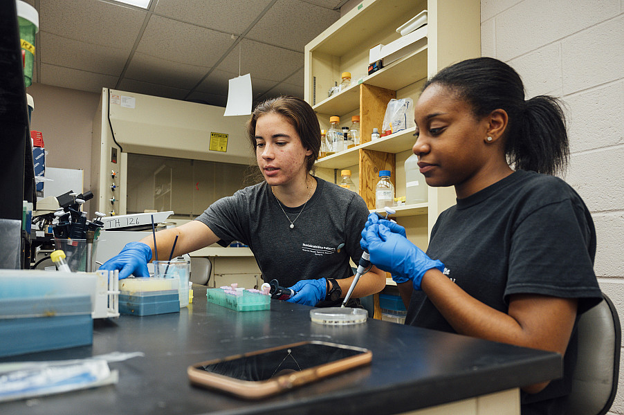 Mentor Candace Hudson and mentee, Aja McBride perform research as part of the 2024 FUTURE program.