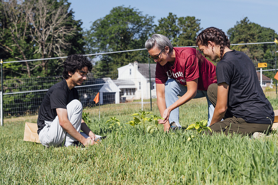Students of Dr. Finney collect samples from research plots at the Whittaker Environmental Research Station - June 25, 2024