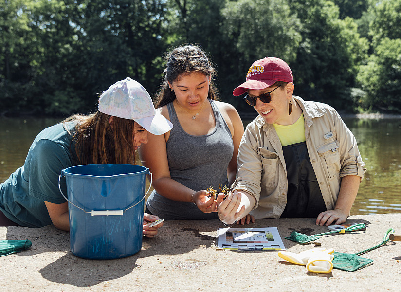 Students of Dr. Bove collect and measure crayfish in the Perkiomen Creek for research. - June 25, 2024