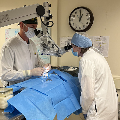 Neuroscience students practicing surgery techniques.