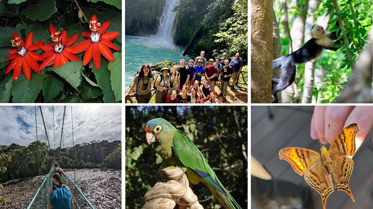 Collage of the Costa Rica Winter Break Program Ursinus College